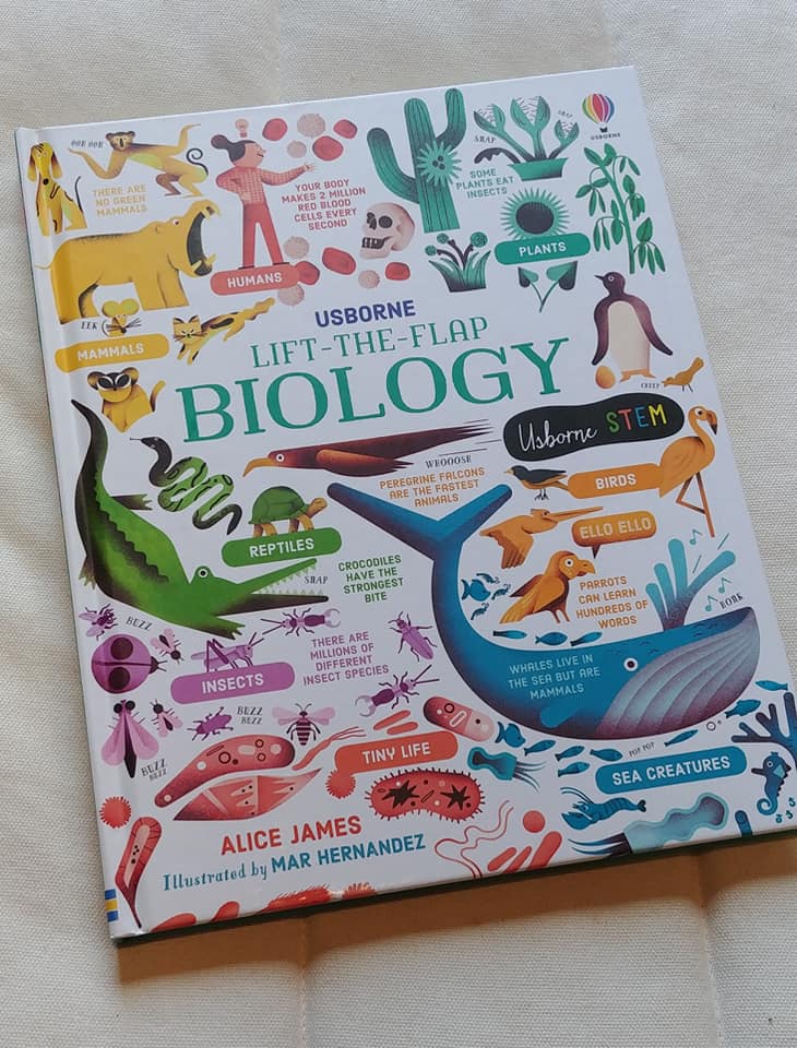 131333156_10158006568642914_7707783165278870538_n